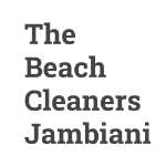 The Beach Cleaners Jambiani